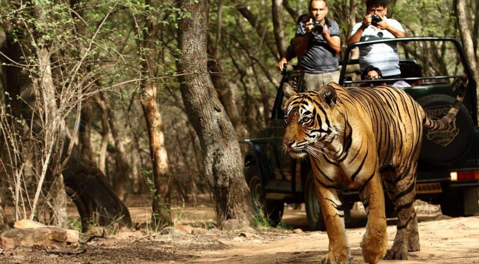 Udaypur Wildlife Sanctuary